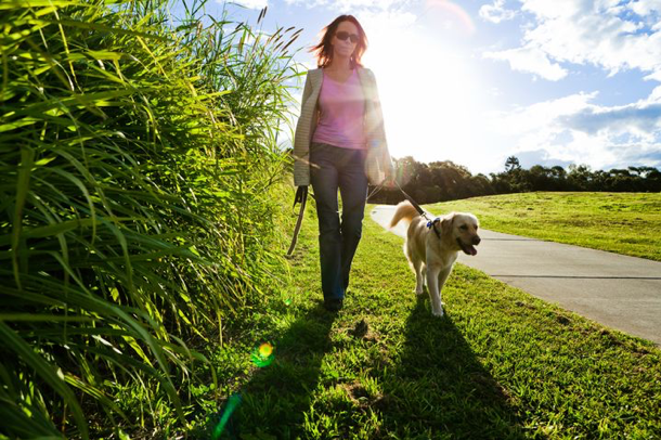 Woman walking her dog on a bright, sunny day
