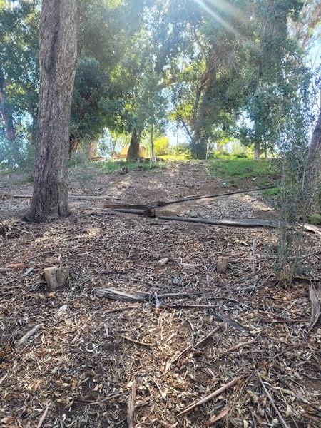 A picture of the path leading to Picnic Hill