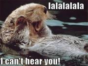 Otter can't hear you