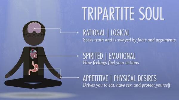 Tripartite Soul 