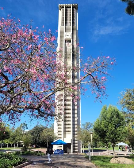 A view of the UCR Bell Tower