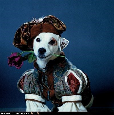 Wishbone the dog dressed as William Shakespeare